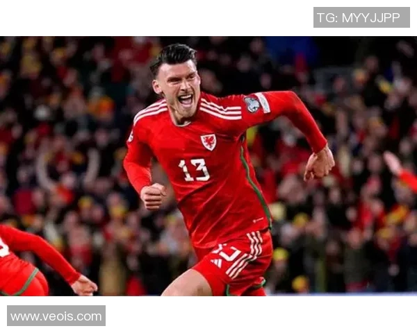 2016年欧洲杯威尔士队的辉煌历程与足球梦想的追逐